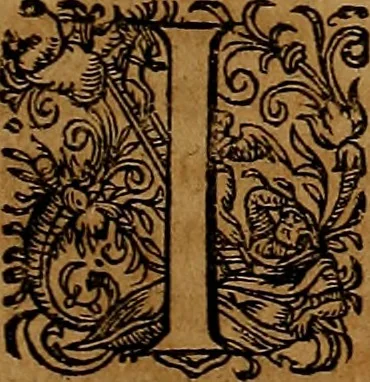 An illustration from Americæ nona & postrema pars : qua de ratione elementorum, de novi orbis natvra, de hvivs incolarvm svperstitiosis cultibus : deq; forma politiæ ac reipubl. ipsorum copiosè pertractatur : catalogo regnum Mexicanorum omnium, à primo vsq; ad vltimum Monteçuman II. additio ... : his accessit designatio illivs navigationis, quam 5. naves Hollandicae anno 1598. per fretum Magellanum in Moluccanas insulas tentarunt : quomodo nimirum oborta tempestate Capitaeus Sebalt de Weert à cæteris nauibus dispulsus, postquam plurimis mensibus in freto infinitis aerumnis miserè iactatus fuisset, tandem infectare post biennum an. 1600. domum reuersus sit : addita est tertio navigatio recens, quam 4. navium praefectus Olevier à Noort proximè suscepit ... : omnia è Germanico Latinitate donata, & insuper elegantissimis figuris æneis coornata editaq; sumptibus Theodori de Bry p.m. Viduæ & binorum filiorum, 1602, leaf 264