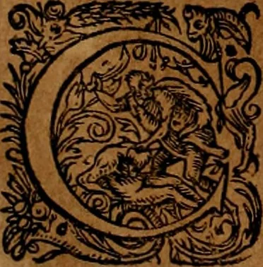 An illustration from Americæ nona & postrema pars : qua de ratione elementorum, de novi orbis natvra, de hvivs incolarvm svperstitiosis cultibus : deq; forma politiæ ac reipubl. ipsorum copiosè pertractatur : catalogo regnum Mexicanorum omnium, à primo vsq; ad vltimum Monteçuman II. additio ... : his accessit designatio illivs navigationis, quam 5. naves Hollandicae anno 1598. per fretum Magellanum in Moluccanas insulas tentarunt : quomodo nimirum oborta tempestate Capitaeus Sebalt de Weert à cæteris nauibus dispulsus, postquam plurimis mensibus in freto infinitis aerumnis miserè iactatus fuisset, tandem infectare post biennum an. 1600. domum reuersus sit : addita est tertio navigatio recens, quam 4. navium praefectus Olevier à Noort proximè suscepit ... : omnia è Germanico Latinitate donata, & insuper elegantissimis figuris æneis coornata editaq; sumptibus Theodori de Bry p.m. Viduæ & binorum filiorum, 1602, leaf 267