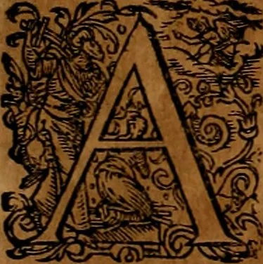 An illustration from Americæ nona & postrema pars : qua de ratione elementorum, de novi orbis natvra, de hvivs incolarvm svperstitiosis cultibus : deq; forma politiæ ac reipubl. ipsorum copiosè pertractatur : catalogo regnum Mexicanorum omnium, à primo vsq; ad vltimum Monteçuman II. additio ... : his accessit designatio illivs navigationis, quam 5. naves Hollandicae anno 1598. per fretum Magellanum in Moluccanas insulas tentarunt : quomodo nimirum oborta tempestate Capitaeus Sebalt de Weert à cæteris nauibus dispulsus, postquam plurimis mensibus in freto infinitis aerumnis miserè iactatus fuisset, tandem infectare post biennum an. 1600. domum reuersus sit : addita est tertio navigatio recens, quam 4. navium praefectus Olevier à Noort proximè suscepit ... : omnia è Germanico Latinitate donata, & insuper elegantissimis figuris æneis coornata editaq; sumptibus Theodori de Bry p.m. Viduæ & binorum filiorum, 1602, leaf 269