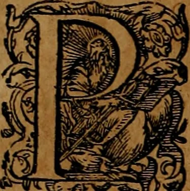 An illustration from Americæ nona & postrema pars : qua de ratione elementorum, de novi orbis natvra, de hvivs incolarvm svperstitiosis cultibus : deq; forma politiæ ac reipubl. ipsorum copiosè pertractatur : catalogo regnum Mexicanorum omnium, à primo vsq; ad vltimum Monteçuman II. additio ... : his accessit designatio illivs navigationis, quam 5. naves Hollandicae anno 1598. per fretum Magellanum in Moluccanas insulas tentarunt : quomodo nimirum oborta tempestate Capitaeus Sebalt de Weert à cæteris nauibus dispulsus, postquam plurimis mensibus in freto infinitis aerumnis miserè iactatus fuisset, tandem infectare post biennum an. 1600. domum reuersus sit : addita est tertio navigatio recens, quam 4. navium praefectus Olevier à Noort proximè suscepit ... : omnia è Germanico Latinitate donata, & insuper elegantissimis figuris æneis coornata editaq; sumptibus Theodori de Bry p.m. Viduæ & binorum filiorum, 1602, leaf 27