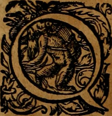 An illustration from Americæ nona & postrema pars : qua de ratione elementorum, de novi orbis natvra, de hvivs incolarvm svperstitiosis cultibus : deq; forma politiæ ac reipubl. ipsorum copiosè pertractatur : catalogo regnum Mexicanorum omnium, à primo vsq; ad vltimum Monteçuman II. additio ... : his accessit designatio illivs navigationis, quam 5. naves Hollandicae anno 1598. per fretum Magellanum in Moluccanas insulas tentarunt : quomodo nimirum oborta tempestate Capitaeus Sebalt de Weert à cæteris nauibus dispulsus, postquam plurimis mensibus in freto infinitis aerumnis miserè iactatus fuisset, tandem infectare post biennum an. 1600. domum reuersus sit : addita est tertio navigatio recens, quam 4. navium praefectus Olevier à Noort proximè suscepit ... : omnia è Germanico Latinitate donata, & insuper elegantissimis figuris æneis coornata editaq; sumptibus Theodori de Bry p.m. Viduæ & binorum filiorum, 1602, leaf 277