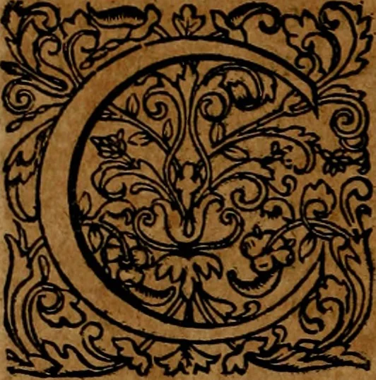 An illustration from Americæ nona & postrema pars : qua de ratione elementorum, de novi orbis natvra, de hvivs incolarvm svperstitiosis cultibus : deq; forma politiæ ac reipubl. ipsorum copiosè pertractatur : catalogo regnum Mexicanorum omnium, à primo vsq; ad vltimum Monteçuman II. additio ... : his accessit designatio illivs navigationis, quam 5. naves Hollandicae anno 1598. per fretum Magellanum in Moluccanas insulas tentarunt : quomodo nimirum oborta tempestate Capitaeus Sebalt de Weert à cæteris nauibus dispulsus, postquam plurimis mensibus in freto infinitis aerumnis miserè iactatus fuisset, tandem infectare post biennum an. 1600. domum reuersus sit : addita est tertio navigatio recens, quam 4. navium praefectus Olevier à Noort proximè suscepit ... : omnia è Germanico Latinitate donata, & insuper elegantissimis figuris æneis coornata editaq; sumptibus Theodori de Bry p.m. Viduæ & binorum filiorum, 1602, leaf 281
