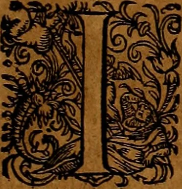 An illustration from Americæ nona & postrema pars : qua de ratione elementorum, de novi orbis natvra, de hvivs incolarvm svperstitiosis cultibus : deq; forma politiæ ac reipubl. ipsorum copiosè pertractatur : catalogo regnum Mexicanorum omnium, à primo vsq; ad vltimum Monteçuman II. additio ... : his accessit designatio illivs navigationis, quam 5. naves Hollandicae anno 1598. per fretum Magellanum in Moluccanas insulas tentarunt : quomodo nimirum oborta tempestate Capitaeus Sebalt de Weert à cæteris nauibus dispulsus, postquam plurimis mensibus in freto infinitis aerumnis miserè iactatus fuisset, tandem infectare post biennum an. 1600. domum reuersus sit : addita est tertio navigatio recens, quam 4. navium praefectus Olevier à Noort proximè suscepit ... : omnia è Germanico Latinitate donata, & insuper elegantissimis figuris æneis coornata editaq; sumptibus Theodori de Bry p.m. Viduæ & binorum filiorum, 1602, leaf 284