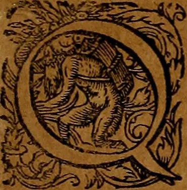 An illustration from Americæ nona & postrema pars : qua de ratione elementorum, de novi orbis natvra, de hvivs incolarvm svperstitiosis cultibus : deq; forma politiæ ac reipubl. ipsorum copiosè pertractatur : catalogo regnum Mexicanorum omnium, à primo vsq; ad vltimum Monteçuman II. additio ... : his accessit designatio illivs navigationis, quam 5. naves Hollandicae anno 1598. per fretum Magellanum in Moluccanas insulas tentarunt : quomodo nimirum oborta tempestate Capitaeus Sebalt de Weert à cæteris nauibus dispulsus, postquam plurimis mensibus in freto infinitis aerumnis miserè iactatus fuisset, tandem infectare post biennum an. 1600. domum reuersus sit : addita est tertio navigatio recens, quam 4. navium praefectus Olevier à Noort proximè suscepit ... : omnia è Germanico Latinitate donata, & insuper elegantissimis figuris æneis coornata editaq; sumptibus Theodori de Bry p.m. Viduæ & binorum filiorum, 1602, leaf 286