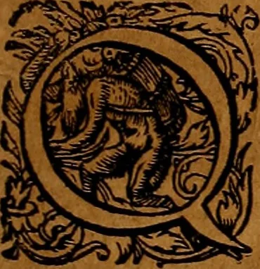 An illustration from Americæ nona & postrema pars : qua de ratione elementorum, de novi orbis natvra, de hvivs incolarvm svperstitiosis cultibus : deq; forma politiæ ac reipubl. ipsorum copiosè pertractatur : catalogo regnum Mexicanorum omnium, à primo vsq; ad vltimum Monteçuman II. additio ... : his accessit designatio illivs navigationis, quam 5. naves Hollandicae anno 1598. per fretum Magellanum in Moluccanas insulas tentarunt : quomodo nimirum oborta tempestate Capitaeus Sebalt de Weert à cæteris nauibus dispulsus, postquam plurimis mensibus in freto infinitis aerumnis miserè iactatus fuisset, tandem infectare post biennum an. 1600. domum reuersus sit : addita est tertio navigatio recens, quam 4. navium praefectus Olevier à Noort proximè suscepit ... : omnia è Germanico Latinitate donata, & insuper elegantissimis figuris æneis coornata editaq; sumptibus Theodori de Bry p.m. Viduæ & binorum filiorum, 1602, leaf 288