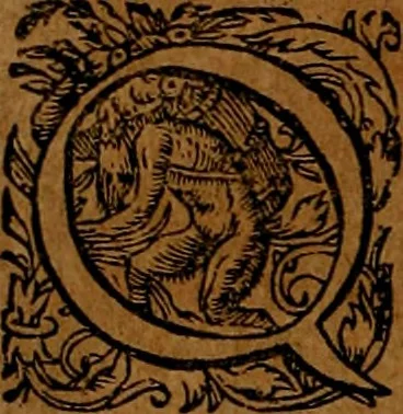 An illustration from Americæ nona & postrema pars : qua de ratione elementorum, de novi orbis natvra, de hvivs incolarvm svperstitiosis cultibus : deq; forma politiæ ac reipubl. ipsorum copiosè pertractatur : catalogo regnum Mexicanorum omnium, à primo vsq; ad vltimum Monteçuman II. additio ... : his accessit designatio illivs navigationis, quam 5. naves Hollandicae anno 1598. per fretum Magellanum in Moluccanas insulas tentarunt : quomodo nimirum oborta tempestate Capitaeus Sebalt de Weert à cæteris nauibus dispulsus, postquam plurimis mensibus in freto infinitis aerumnis miserè iactatus fuisset, tandem infectare post biennum an. 1600. domum reuersus sit : addita est tertio navigatio recens, quam 4. navium praefectus Olevier à Noort proximè suscepit ... : omnia è Germanico Latinitate donata, & insuper elegantissimis figuris æneis coornata editaq; sumptibus Theodori de Bry p.m. Viduæ & binorum filiorum, 1602, leaf 289