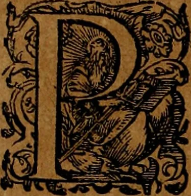 An illustration from Americæ nona & postrema pars : qua de ratione elementorum, de novi orbis natvra, de hvivs incolarvm svperstitiosis cultibus : deq; forma politiæ ac reipubl. ipsorum copiosè pertractatur : catalogo regnum Mexicanorum omnium, à primo vsq; ad vltimum Monteçuman II. additio ... : his accessit designatio illivs navigationis, quam 5. naves Hollandicae anno 1598. per fretum Magellanum in Moluccanas insulas tentarunt : quomodo nimirum oborta tempestate Capitaeus Sebalt de Weert à cæteris nauibus dispulsus, postquam plurimis mensibus in freto infinitis aerumnis miserè iactatus fuisset, tandem infectare post biennum an. 1600. domum reuersus sit : addita est tertio navigatio recens, quam 4. navium praefectus Olevier à Noort proximè suscepit ... : omnia è Germanico Latinitate donata, & insuper elegantissimis figuris æneis coornata editaq; sumptibus Theodori de Bry p.m. Viduæ & binorum filiorum, 1602, leaf 291