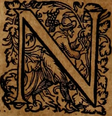 An illustration from Americæ nona & postrema pars : qua de ratione elementorum, de novi orbis natvra, de hvivs incolarvm svperstitiosis cultibus : deq; forma politiæ ac reipubl. ipsorum copiosè pertractatur : catalogo regnum Mexicanorum omnium, à primo vsq; ad vltimum Monteçuman II. additio ... : his accessit designatio illivs navigationis, quam 5. naves Hollandicae anno 1598. per fretum Magellanum in Moluccanas insulas tentarunt : quomodo nimirum oborta tempestate Capitaeus Sebalt de Weert à cæteris nauibus dispulsus, postquam plurimis mensibus in freto infinitis aerumnis miserè iactatus fuisset, tandem infectare post biennum an. 1600. domum reuersus sit : addita est tertio navigatio recens, quam 4. navium praefectus Olevier à Noort proximè suscepit ... : omnia è Germanico Latinitate donata, & insuper elegantissimis figuris æneis coornata editaq; sumptibus Theodori de Bry p.m. Viduæ & binorum filiorum, 1602, leaf 293