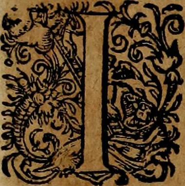 An illustration from Americæ nona & postrema pars : qua de ratione elementorum, de novi orbis natvra, de hvivs incolarvm svperstitiosis cultibus : deq; forma politiæ ac reipubl. ipsorum copiosè pertractatur : catalogo regnum Mexicanorum omnium, à primo vsq; ad vltimum Monteçuman II. additio ... : his accessit designatio illivs navigationis, quam 5. naves Hollandicae anno 1598. per fretum Magellanum in Moluccanas insulas tentarunt : quomodo nimirum oborta tempestate Capitaeus Sebalt de Weert à cæteris nauibus dispulsus, postquam plurimis mensibus in freto infinitis aerumnis miserè iactatus fuisset, tandem infectare post biennum an. 1600. domum reuersus sit : addita est tertio navigatio recens, quam 4. navium praefectus Olevier à Noort proximè suscepit ... : omnia è Germanico Latinitate donata, & insuper elegantissimis figuris æneis coornata editaq; sumptibus Theodori de Bry p.m. Viduæ & binorum filiorum, 1602, leaf 295