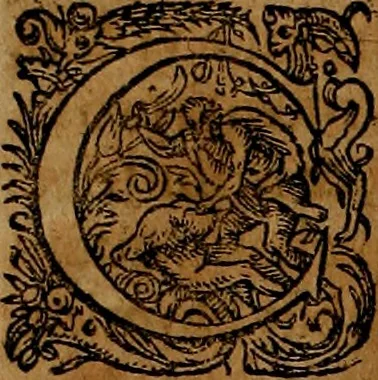 An illustration from Americæ nona & postrema pars : qua de ratione elementorum, de novi orbis natvra, de hvivs incolarvm svperstitiosis cultibus : deq; forma politiæ ac reipubl. ipsorum copiosè pertractatur : catalogo regnum Mexicanorum omnium, à primo vsq; ad vltimum Monteçuman II. additio ... : his accessit designatio illivs navigationis, quam 5. naves Hollandicae anno 1598. per fretum Magellanum in Moluccanas insulas tentarunt : quomodo nimirum oborta tempestate Capitaeus Sebalt de Weert à cæteris nauibus dispulsus, postquam plurimis mensibus in freto infinitis aerumnis miserè iactatus fuisset, tandem infectare post biennum an. 1600. domum reuersus sit : addita est tertio navigatio recens, quam 4. navium praefectus Olevier à Noort proximè suscepit ... : omnia è Germanico Latinitate donata, & insuper elegantissimis figuris æneis coornata editaq; sumptibus Theodori de Bry p.m. Viduæ & binorum filiorum, 1602, leaf 297