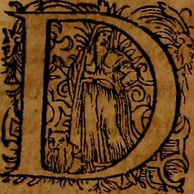 An illustration from Americæ nona & postrema pars : qua de ratione elementorum, de novi orbis natvra, de hvivs incolarvm svperstitiosis cultibus : deq; forma politiæ ac reipubl. ipsorum copiosè pertractatur : catalogo regnum Mexicanorum omnium, à primo vsq; ad vltimum Monteçuman II. additio ... : his accessit designatio illivs navigationis, quam 5. naves Hollandicae anno 1598. per fretum Magellanum in Moluccanas insulas tentarunt : quomodo nimirum oborta tempestate Capitaeus Sebalt de Weert à cæteris nauibus dispulsus, postquam plurimis mensibus in freto infinitis aerumnis miserè iactatus fuisset, tandem infectare post biennum an. 1600. domum reuersus sit : addita est tertio navigatio recens, quam 4. navium praefectus Olevier à Noort proximè suscepit ... : omnia è Germanico Latinitate donata, & insuper elegantissimis figuris æneis coornata editaq; sumptibus Theodori de Bry p.m. Viduæ & binorum filiorum, 1602, leaf 298