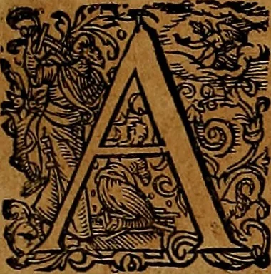 An illustration from Americæ nona & postrema pars : qua de ratione elementorum, de novi orbis natvra, de hvivs incolarvm svperstitiosis cultibus : deq; forma politiæ ac reipubl. ipsorum copiosè pertractatur : catalogo regnum Mexicanorum omnium, à primo vsq; ad vltimum Monteçuman II. additio ... : his accessit designatio illivs navigationis, quam 5. naves Hollandicae anno 1598. per fretum Magellanum in Moluccanas insulas tentarunt : quomodo nimirum oborta tempestate Capitaeus Sebalt de Weert à cæteris nauibus dispulsus, postquam plurimis mensibus in freto infinitis aerumnis miserè iactatus fuisset, tandem infectare post biennum an. 1600. domum reuersus sit : addita est tertio navigatio recens, quam 4. navium praefectus Olevier à Noort proximè suscepit ... : omnia è Germanico Latinitate donata, & insuper elegantissimis figuris æneis coornata editaq; sumptibus Theodori de Bry p.m. Viduæ & binorum filiorum, 1602, leaf 30