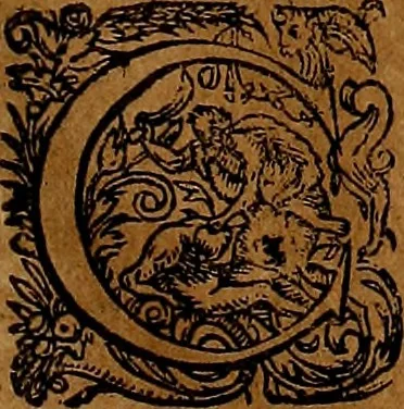 An illustration from Americæ nona & postrema pars : qua de ratione elementorum, de novi orbis natvra, de hvivs incolarvm svperstitiosis cultibus : deq; forma politiæ ac reipubl. ipsorum copiosè pertractatur : catalogo regnum Mexicanorum omnium, à primo vsq; ad vltimum Monteçuman II. additio ... : his accessit designatio illivs navigationis, quam 5. naves Hollandicae anno 1598. per fretum Magellanum in Moluccanas insulas tentarunt : quomodo nimirum oborta tempestate Capitaeus Sebalt de Weert à cæteris nauibus dispulsus, postquam plurimis mensibus in freto infinitis aerumnis miserè iactatus fuisset, tandem infectare post biennum an. 1600. domum reuersus sit : addita est tertio navigatio recens, quam 4. navium praefectus Olevier à Noort proximè suscepit ... : omnia è Germanico Latinitate donata, & insuper elegantissimis figuris æneis coornata editaq; sumptibus Theodori de Bry p.m. Viduæ & binorum filiorum, 1602, leaf 302