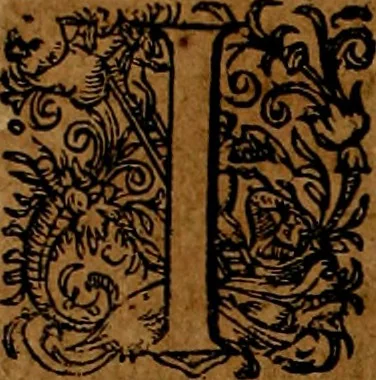An illustration from Americæ nona & postrema pars : qua de ratione elementorum, de novi orbis natvra, de hvivs incolarvm svperstitiosis cultibus : deq; forma politiæ ac reipubl. ipsorum copiosè pertractatur : catalogo regnum Mexicanorum omnium, à primo vsq; ad vltimum Monteçuman II. additio ... : his accessit designatio illivs navigationis, quam 5. naves Hollandicae anno 1598. per fretum Magellanum in Moluccanas insulas tentarunt : quomodo nimirum oborta tempestate Capitaeus Sebalt de Weert à cæteris nauibus dispulsus, postquam plurimis mensibus in freto infinitis aerumnis miserè iactatus fuisset, tandem infectare post biennum an. 1600. domum reuersus sit : addita est tertio navigatio recens, quam 4. navium praefectus Olevier à Noort proximè suscepit ... : omnia è Germanico Latinitate donata, & insuper elegantissimis figuris æneis coornata editaq; sumptibus Theodori de Bry p.m. Viduæ & binorum filiorum, 1602, leaf 305