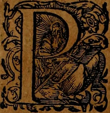 An illustration from Americæ nona & postrema pars : qua de ratione elementorum, de novi orbis natvra, de hvivs incolarvm svperstitiosis cultibus : deq; forma politiæ ac reipubl. ipsorum copiosè pertractatur : catalogo regnum Mexicanorum omnium, à primo vsq; ad vltimum Monteçuman II. additio ... : his accessit designatio illivs navigationis, quam 5. naves Hollandicae anno 1598. per fretum Magellanum in Moluccanas insulas tentarunt : quomodo nimirum oborta tempestate Capitaeus Sebalt de Weert à cæteris nauibus dispulsus, postquam plurimis mensibus in freto infinitis aerumnis miserè iactatus fuisset, tandem infectare post biennum an. 1600. domum reuersus sit : addita est tertio navigatio recens, quam 4. navium praefectus Olevier à Noort proximè suscepit ... : omnia è Germanico Latinitate donata, & insuper elegantissimis figuris æneis coornata editaq; sumptibus Theodori de Bry p.m. Viduæ & binorum filiorum, 1602, leaf 307