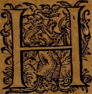 An illustration from Americæ nona & postrema pars : qua de ratione elementorum, de novi orbis natvra, de hvivs incolarvm svperstitiosis cultibus : deq; forma politiæ ac reipubl. ipsorum copiosè pertractatur : catalogo regnum Mexicanorum omnium, à primo vsq; ad vltimum Monteçuman II. additio ... : his accessit designatio illivs navigationis, quam 5. naves Hollandicae anno 1598. per fretum Magellanum in Moluccanas insulas tentarunt : quomodo nimirum oborta tempestate Capitaeus Sebalt de Weert à cæteris nauibus dispulsus, postquam plurimis mensibus in freto infinitis aerumnis miserè iactatus fuisset, tandem infectare post biennum an. 1600. domum reuersus sit : addita est tertio navigatio recens, quam 4. navium praefectus Olevier à Noort proximè suscepit ... : omnia è Germanico Latinitate donata, & insuper elegantissimis figuris æneis coornata editaq; sumptibus Theodori de Bry p.m. Viduæ & binorum filiorum, 1602, leaf 308