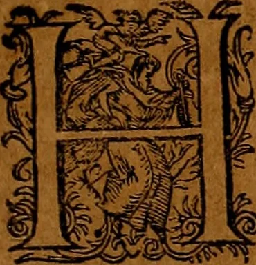 An illustration from Americæ nona & postrema pars : qua de ratione elementorum, de novi orbis natvra, de hvivs incolarvm svperstitiosis cultibus : deq; forma politiæ ac reipubl. ipsorum copiosè pertractatur : catalogo regnum Mexicanorum omnium, à primo vsq; ad vltimum Monteçuman II. additio ... : his accessit designatio illivs navigationis, quam 5. naves Hollandicae anno 1598. per fretum Magellanum in Moluccanas insulas tentarunt : quomodo nimirum oborta tempestate Capitaeus Sebalt de Weert à cæteris nauibus dispulsus, postquam plurimis mensibus in freto infinitis aerumnis miserè iactatus fuisset, tandem infectare post biennum an. 1600. domum reuersus sit : addita est tertio navigatio recens, quam 4. navium praefectus Olevier à Noort proximè suscepit ... : omnia è Germanico Latinitate donata, & insuper elegantissimis figuris æneis coornata editaq; sumptibus Theodori de Bry p.m. Viduæ & binorum filiorum, 1602, leaf 310