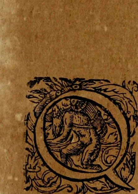 An illustration from Americæ nona & postrema pars : qua de ratione elementorum, de novi orbis natvra, de hvivs incolarvm svperstitiosis cultibus : deq; forma politiæ ac reipubl. ipsorum copiosè pertractatur : catalogo regnum Mexicanorum omnium, à primo vsq; ad vltimum Monteçuman II. additio ... : his accessit designatio illivs navigationis, quam 5. naves Hollandicae anno 1598. per fretum Magellanum in Moluccanas insulas tentarunt : quomodo nimirum oborta tempestate Capitaeus Sebalt de Weert à cæteris nauibus dispulsus, postquam plurimis mensibus in freto infinitis aerumnis miserè iactatus fuisset, tandem infectare post biennum an. 1600. domum reuersus sit : addita est tertio navigatio recens, quam 4. navium praefectus Olevier à Noort proximè suscepit ... : omnia è Germanico Latinitate donata, & insuper elegantissimis figuris æneis coornata editaq; sumptibus Theodori de Bry p.m. Viduæ & binorum filiorum, 1602, leaf 311