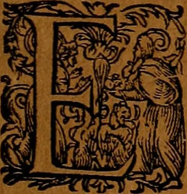An illustration from Americæ nona & postrema pars : qua de ratione elementorum, de novi orbis natvra, de hvivs incolarvm svperstitiosis cultibus : deq; forma politiæ ac reipubl. ipsorum copiosè pertractatur : catalogo regnum Mexicanorum omnium, à primo vsq; ad vltimum Monteçuman II. additio ... : his accessit designatio illivs navigationis, quam 5. naves Hollandicae anno 1598. per fretum Magellanum in Moluccanas insulas tentarunt : quomodo nimirum oborta tempestate Capitaeus Sebalt de Weert à cæteris nauibus dispulsus, postquam plurimis mensibus in freto infinitis aerumnis miserè iactatus fuisset, tandem infectare post biennum an. 1600. domum reuersus sit : addita est tertio navigatio recens, quam 4. navium praefectus Olevier à Noort proximè suscepit ... : omnia è Germanico Latinitate donata, & insuper elegantissimis figuris æneis coornata editaq; sumptibus Theodori de Bry p.m. Viduæ & binorum filiorum, 1602, leaf 312