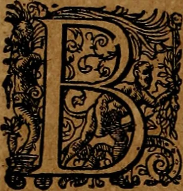 An illustration from Americæ nona & postrema pars : qua de ratione elementorum, de novi orbis natvra, de hvivs incolarvm svperstitiosis cultibus : deq; forma politiæ ac reipubl. ipsorum copiosè pertractatur : catalogo regnum Mexicanorum omnium, à primo vsq; ad vltimum Monteçuman II. additio ... : his accessit designatio illivs navigationis, quam 5. naves Hollandicae anno 1598. per fretum Magellanum in Moluccanas insulas tentarunt : quomodo nimirum oborta tempestate Capitaeus Sebalt de Weert à cæteris nauibus dispulsus, postquam plurimis mensibus in freto infinitis aerumnis miserè iactatus fuisset, tandem infectare post biennum an. 1600. domum reuersus sit : addita est tertio navigatio recens, quam 4. navium praefectus Olevier à Noort proximè suscepit ... : omnia è Germanico Latinitate donata, & insuper elegantissimis figuris æneis coornata editaq; sumptibus Theodori de Bry p.m. Viduæ & binorum filiorum, 1602, leaf 315