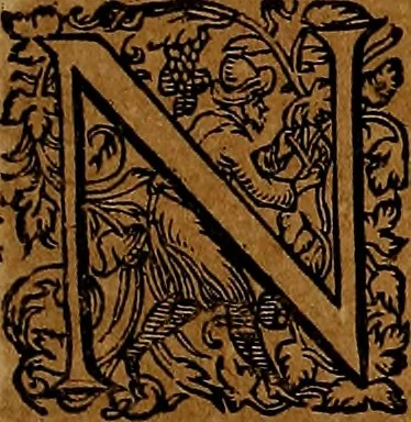 An illustration from Americæ nona & postrema pars : qua de ratione elementorum, de novi orbis natvra, de hvivs incolarvm svperstitiosis cultibus : deq; forma politiæ ac reipubl. ipsorum copiosè pertractatur : catalogo regnum Mexicanorum omnium, à primo vsq; ad vltimum Monteçuman II. additio ... : his accessit designatio illivs navigationis, quam 5. naves Hollandicae anno 1598. per fretum Magellanum in Moluccanas insulas tentarunt : quomodo nimirum oborta tempestate Capitaeus Sebalt de Weert à cæteris nauibus dispulsus, postquam plurimis mensibus in freto infinitis aerumnis miserè iactatus fuisset, tandem infectare post biennum an. 1600. domum reuersus sit : addita est tertio navigatio recens, quam 4. navium praefectus Olevier à Noort proximè suscepit ... : omnia è Germanico Latinitate donata, & insuper elegantissimis figuris æneis coornata editaq; sumptibus Theodori de Bry p.m. Viduæ & binorum filiorum, 1602, leaf 316