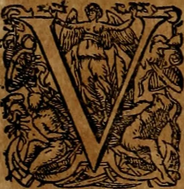 An illustration from Americæ nona & postrema pars : qua de ratione elementorum, de novi orbis natvra, de hvivs incolarvm svperstitiosis cultibus : deq; forma politiæ ac reipubl. ipsorum copiosè pertractatur : catalogo regnum Mexicanorum omnium, à primo vsq; ad vltimum Monteçuman II. additio ... : his accessit designatio illivs navigationis, quam 5. naves Hollandicae anno 1598. per fretum Magellanum in Moluccanas insulas tentarunt : quomodo nimirum oborta tempestate Capitaeus Sebalt de Weert à cæteris nauibus dispulsus, postquam plurimis mensibus in freto infinitis aerumnis miserè iactatus fuisset, tandem infectare post biennum an. 1600. domum reuersus sit : addita est tertio navigatio recens, quam 4. navium praefectus Olevier à Noort proximè suscepit ... : omnia è Germanico Latinitate donata, & insuper elegantissimis figuris æneis coornata editaq; sumptibus Theodori de Bry p.m. Viduæ & binorum filiorum, 1602, leaf 317
