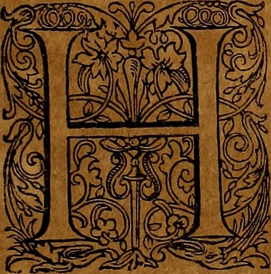 An illustration from Americæ nona & postrema pars : qua de ratione elementorum, de novi orbis natvra, de hvivs incolarvm svperstitiosis cultibus : deq; forma politiæ ac reipubl. ipsorum copiosè pertractatur : catalogo regnum Mexicanorum omnium, à primo vsq; ad vltimum Monteçuman II. additio ... : his accessit designatio illivs navigationis, quam 5. naves Hollandicae anno 1598. per fretum Magellanum in Moluccanas insulas tentarunt : quomodo nimirum oborta tempestate Capitaeus Sebalt de Weert à cæteris nauibus dispulsus, postquam plurimis mensibus in freto infinitis aerumnis miserè iactatus fuisset, tandem infectare post biennum an. 1600. domum reuersus sit : addita est tertio navigatio recens, quam 4. navium praefectus Olevier à Noort proximè suscepit ... : omnia è Germanico Latinitate donata, & insuper elegantissimis figuris æneis coornata editaq; sumptibus Theodori de Bry p.m. Viduæ & binorum filiorum, 1602, leaf 320
