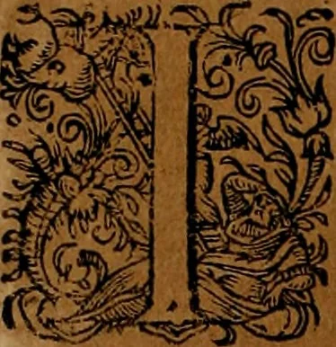 An illustration from Americæ nona & postrema pars : qua de ratione elementorum, de novi orbis natvra, de hvivs incolarvm svperstitiosis cultibus : deq; forma politiæ ac reipubl. ipsorum copiosè pertractatur : catalogo regnum Mexicanorum omnium, à primo vsq; ad vltimum Monteçuman II. additio ... : his accessit designatio illivs navigationis, quam 5. naves Hollandicae anno 1598. per fretum Magellanum in Moluccanas insulas tentarunt : quomodo nimirum oborta tempestate Capitaeus Sebalt de Weert à cæteris nauibus dispulsus, postquam plurimis mensibus in freto infinitis aerumnis miserè iactatus fuisset, tandem infectare post biennum an. 1600. domum reuersus sit : addita est tertio navigatio recens, quam 4. navium praefectus Olevier à Noort proximè suscepit ... : omnia è Germanico Latinitate donata, & insuper elegantissimis figuris æneis coornata editaq; sumptibus Theodori de Bry p.m. Viduæ & binorum filiorum, 1602, leaf 329
