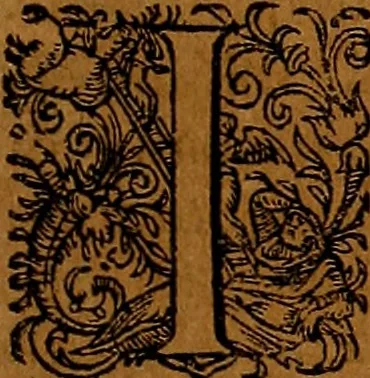 An illustration from Americæ nona & postrema pars : qua de ratione elementorum, de novi orbis natvra, de hvivs incolarvm svperstitiosis cultibus : deq; forma politiæ ac reipubl. ipsorum copiosè pertractatur : catalogo regnum Mexicanorum omnium, à primo vsq; ad vltimum Monteçuman II. additio ... : his accessit designatio illivs navigationis, quam 5. naves Hollandicae anno 1598. per fretum Magellanum in Moluccanas insulas tentarunt : quomodo nimirum oborta tempestate Capitaeus Sebalt de Weert à cæteris nauibus dispulsus, postquam plurimis mensibus in freto infinitis aerumnis miserè iactatus fuisset, tandem infectare post biennum an. 1600. domum reuersus sit : addita est tertio navigatio recens, quam 4. navium praefectus Olevier à Noort proximè suscepit ... : omnia è Germanico Latinitate donata, & insuper elegantissimis figuris æneis coornata editaq; sumptibus Theodori de Bry p.m. Viduæ & binorum filiorum, 1602, leaf 330
