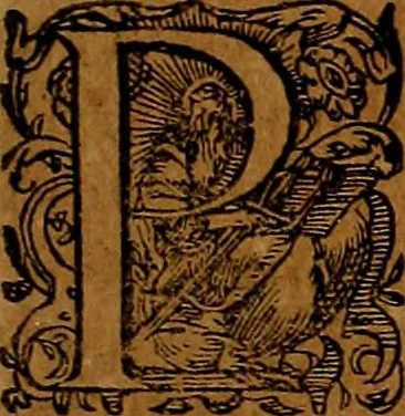 An illustration from Americæ nona & postrema pars : qua de ratione elementorum, de novi orbis natvra, de hvivs incolarvm svperstitiosis cultibus : deq; forma politiæ ac reipubl. ipsorum copiosè pertractatur : catalogo regnum Mexicanorum omnium, à primo vsq; ad vltimum Monteçuman II. additio ... : his accessit designatio illivs navigationis, quam 5. naves Hollandicae anno 1598. per fretum Magellanum in Moluccanas insulas tentarunt : quomodo nimirum oborta tempestate Capitaeus Sebalt de Weert à cæteris nauibus dispulsus, postquam plurimis mensibus in freto infinitis aerumnis miserè iactatus fuisset, tandem infectare post biennum an. 1600. domum reuersus sit : addita est tertio navigatio recens, quam 4. navium praefectus Olevier à Noort proximè suscepit ... : omnia è Germanico Latinitate donata, & insuper elegantissimis figuris æneis coornata editaq; sumptibus Theodori de Bry p.m. Viduæ & binorum filiorum, 1602, leaf 332