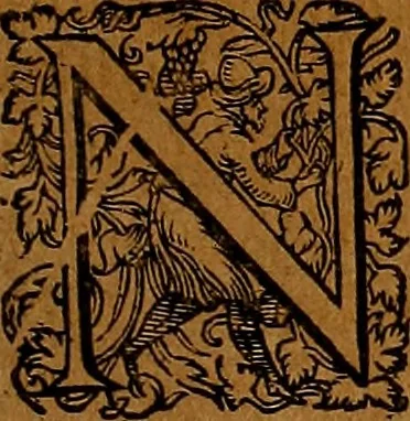 An illustration from Americæ nona & postrema pars : qua de ratione elementorum, de novi orbis natvra, de hvivs incolarvm svperstitiosis cultibus : deq; forma politiæ ac reipubl. ipsorum copiosè pertractatur : catalogo regnum Mexicanorum omnium, à primo vsq; ad vltimum Monteçuman II. additio ... : his accessit designatio illivs navigationis, quam 5. naves Hollandicae anno 1598. per fretum Magellanum in Moluccanas insulas tentarunt : quomodo nimirum oborta tempestate Capitaeus Sebalt de Weert à cæteris nauibus dispulsus, postquam plurimis mensibus in freto infinitis aerumnis miserè iactatus fuisset, tandem infectare post biennum an. 1600. domum reuersus sit : addita est tertio navigatio recens, quam 4. navium praefectus Olevier à Noort proximè suscepit ... : omnia è Germanico Latinitate donata, & insuper elegantissimis figuris æneis coornata editaq; sumptibus Theodori de Bry p.m. Viduæ & binorum filiorum, 1602, leaf 334