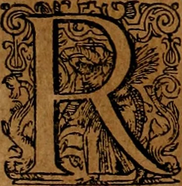 An illustration from Americæ nona & postrema pars : qua de ratione elementorum, de novi orbis natvra, de hvivs incolarvm svperstitiosis cultibus : deq; forma politiæ ac reipubl. ipsorum copiosè pertractatur : catalogo regnum Mexicanorum omnium, à primo vsq; ad vltimum Monteçuman II. additio ... : his accessit designatio illivs navigationis, quam 5. naves Hollandicae anno 1598. per fretum Magellanum in Moluccanas insulas tentarunt : quomodo nimirum oborta tempestate Capitaeus Sebalt de Weert à cæteris nauibus dispulsus, postquam plurimis mensibus in freto infinitis aerumnis miserè iactatus fuisset, tandem infectare post biennum an. 1600. domum reuersus sit : addita est tertio navigatio recens, quam 4. navium praefectus Olevier à Noort proximè suscepit ... : omnia è Germanico Latinitate donata, & insuper elegantissimis figuris æneis coornata editaq; sumptibus Theodori de Bry p.m. Viduæ & binorum filiorum, 1602, leaf 337