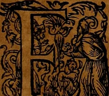 An illustration from Americæ nona & postrema pars : qua de ratione elementorum, de novi orbis natvra, de hvivs incolarvm svperstitiosis cultibus : deq; forma politiæ ac reipubl. ipsorum copiosè pertractatur : catalogo regnum Mexicanorum omnium, à primo vsq; ad vltimum Monteçuman II. additio ... : his accessit designatio illivs navigationis, quam 5. naves Hollandicae anno 1598. per fretum Magellanum in Moluccanas insulas tentarunt : quomodo nimirum oborta tempestate Capitaeus Sebalt de Weert à cæteris nauibus dispulsus, postquam plurimis mensibus in freto infinitis aerumnis miserè iactatus fuisset, tandem infectare post biennum an. 1600. domum reuersus sit : addita est tertio navigatio recens, quam 4. navium praefectus Olevier à Noort proximè suscepit ... : omnia è Germanico Latinitate donata, & insuper elegantissimis figuris æneis coornata editaq; sumptibus Theodori de Bry p.m. Viduæ & binorum filiorum, 1602, leaf 34