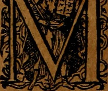 An illustration from Americæ nona & postrema pars : qua de ratione elementorum, de novi orbis natvra, de hvivs incolarvm svperstitiosis cultibus : deq; forma politiæ ac reipubl. ipsorum copiosè pertractatur : catalogo regnum Mexicanorum omnium, à primo vsq; ad vltimum Monteçuman II. additio ... : his accessit designatio illivs navigationis, quam 5. naves Hollandicae anno 1598. per fretum Magellanum in Moluccanas insulas tentarunt : quomodo nimirum oborta tempestate Capitaeus Sebalt de Weert à cæteris nauibus dispulsus, postquam plurimis mensibus in freto infinitis aerumnis miserè iactatus fuisset, tandem infectare post biennum an. 1600. domum reuersus sit : addita est tertio navigatio recens, quam 4. navium praefectus Olevier à Noort proximè suscepit ... : omnia è Germanico Latinitate donata, & insuper elegantissimis figuris æneis coornata editaq; sumptibus Theodori de Bry p.m. Viduæ & binorum filiorum, 1602, leaf 343