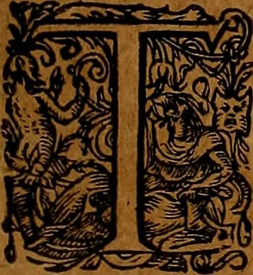 An illustration from Americæ nona & postrema pars : qua de ratione elementorum, de novi orbis natvra, de hvivs incolarvm svperstitiosis cultibus : deq; forma politiæ ac reipubl. ipsorum copiosè pertractatur : catalogo regnum Mexicanorum omnium, à primo vsq; ad vltimum Monteçuman II. additio ... : his accessit designatio illivs navigationis, quam 5. naves Hollandicae anno 1598. per fretum Magellanum in Moluccanas insulas tentarunt : quomodo nimirum oborta tempestate Capitaeus Sebalt de Weert à cæteris nauibus dispulsus, postquam plurimis mensibus in freto infinitis aerumnis miserè iactatus fuisset, tandem infectare post biennum an. 1600. domum reuersus sit : addita est tertio navigatio recens, quam 4. navium praefectus Olevier à Noort proximè suscepit ... : omnia è Germanico Latinitate donata, & insuper elegantissimis figuris æneis coornata editaq; sumptibus Theodori de Bry p.m. Viduæ & binorum filiorum, 1602, leaf 346
