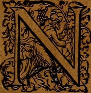 An illustration from Americæ nona & postrema pars : qua de ratione elementorum, de novi orbis natvra, de hvivs incolarvm svperstitiosis cultibus : deq; forma politiæ ac reipubl. ipsorum copiosè pertractatur : catalogo regnum Mexicanorum omnium, à primo vsq; ad vltimum Monteçuman II. additio ... : his accessit designatio illivs navigationis, quam 5. naves Hollandicae anno 1598. per fretum Magellanum in Moluccanas insulas tentarunt : quomodo nimirum oborta tempestate Capitaeus Sebalt de Weert à cæteris nauibus dispulsus, postquam plurimis mensibus in freto infinitis aerumnis miserè iactatus fuisset, tandem infectare post biennum an. 1600. domum reuersus sit : addita est tertio navigatio recens, quam 4. navium praefectus Olevier à Noort proximè suscepit ... : omnia è Germanico Latinitate donata, & insuper elegantissimis figuris æneis coornata editaq; sumptibus Theodori de Bry p.m. Viduæ & binorum filiorum, 1602, leaf 348