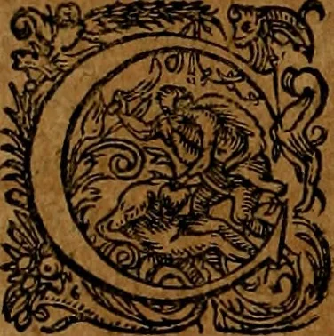 An illustration from Americæ nona & postrema pars : qua de ratione elementorum, de novi orbis natvra, de hvivs incolarvm svperstitiosis cultibus : deq; forma politiæ ac reipubl. ipsorum copiosè pertractatur : catalogo regnum Mexicanorum omnium, à primo vsq; ad vltimum Monteçuman II. additio ... : his accessit designatio illivs navigationis, quam 5. naves Hollandicae anno 1598. per fretum Magellanum in Moluccanas insulas tentarunt : quomodo nimirum oborta tempestate Capitaeus Sebalt de Weert à cæteris nauibus dispulsus, postquam plurimis mensibus in freto infinitis aerumnis miserè iactatus fuisset, tandem infectare post biennum an. 1600. domum reuersus sit : addita est tertio navigatio recens, quam 4. navium praefectus Olevier à Noort proximè suscepit ... : omnia è Germanico Latinitate donata, & insuper elegantissimis figuris æneis coornata editaq; sumptibus Theodori de Bry p.m. Viduæ & binorum filiorum, 1602, leaf 351