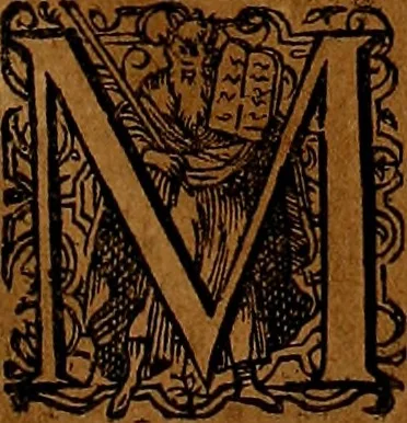 An illustration from Americæ nona & postrema pars : qua de ratione elementorum, de novi orbis natvra, de hvivs incolarvm svperstitiosis cultibus : deq; forma politiæ ac reipubl. ipsorum copiosè pertractatur : catalogo regnum Mexicanorum omnium, à primo vsq; ad vltimum Monteçuman II. additio ... : his accessit designatio illivs navigationis, quam 5. naves Hollandicae anno 1598. per fretum Magellanum in Moluccanas insulas tentarunt : quomodo nimirum oborta tempestate Capitaeus Sebalt de Weert à cæteris nauibus dispulsus, postquam plurimis mensibus in freto infinitis aerumnis miserè iactatus fuisset, tandem infectare post biennum an. 1600. domum reuersus sit : addita est tertio navigatio recens, quam 4. navium praefectus Olevier à Noort proximè suscepit ... : omnia è Germanico Latinitate donata, & insuper elegantissimis figuris æneis coornata editaq; sumptibus Theodori de Bry p.m. Viduæ & binorum filiorum, 1602, leaf 356