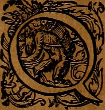 An illustration from Americæ nona & postrema pars : qua de ratione elementorum, de novi orbis natvra, de hvivs incolarvm svperstitiosis cultibus : deq; forma politiæ ac reipubl. ipsorum copiosè pertractatur : catalogo regnum Mexicanorum omnium, à primo vsq; ad vltimum Monteçuman II. additio ... : his accessit designatio illivs navigationis, quam 5. naves Hollandicae anno 1598. per fretum Magellanum in Moluccanas insulas tentarunt : quomodo nimirum oborta tempestate Capitaeus Sebalt de Weert à cæteris nauibus dispulsus, postquam plurimis mensibus in freto infinitis aerumnis miserè iactatus fuisset, tandem infectare post biennum an. 1600. domum reuersus sit : addita est tertio navigatio recens, quam 4. navium praefectus Olevier à Noort proximè suscepit ... : omnia è Germanico Latinitate donata, & insuper elegantissimis figuris æneis coornata editaq; sumptibus Theodori de Bry p.m. Viduæ & binorum filiorum, 1602, leaf 358