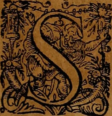An illustration from Americæ nona & postrema pars : qua de ratione elementorum, de novi orbis natvra, de hvivs incolarvm svperstitiosis cultibus : deq; forma politiæ ac reipubl. ipsorum copiosè pertractatur : catalogo regnum Mexicanorum omnium, à primo vsq; ad vltimum Monteçuman II. additio ... : his accessit designatio illivs navigationis, quam 5. naves Hollandicae anno 1598. per fretum Magellanum in Moluccanas insulas tentarunt : quomodo nimirum oborta tempestate Capitaeus Sebalt de Weert à cæteris nauibus dispulsus, postquam plurimis mensibus in freto infinitis aerumnis miserè iactatus fuisset, tandem infectare post biennum an. 1600. domum reuersus sit : addita est tertio navigatio recens, quam 4. navium praefectus Olevier à Noort proximè suscepit ... : omnia è Germanico Latinitate donata, & insuper elegantissimis figuris æneis coornata editaq; sumptibus Theodori de Bry p.m. Viduæ & binorum filiorum, 1602, leaf 36