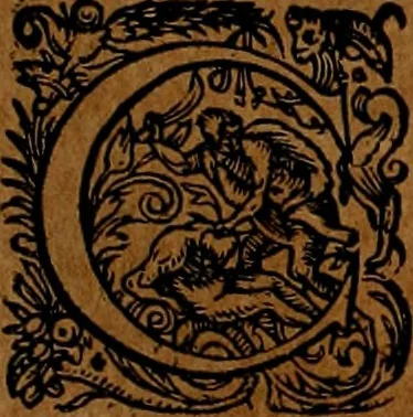 An illustration from Americæ nona & postrema pars : qua de ratione elementorum, de novi orbis natvra, de hvivs incolarvm svperstitiosis cultibus : deq; forma politiæ ac reipubl. ipsorum copiosè pertractatur : catalogo regnum Mexicanorum omnium, à primo vsq; ad vltimum Monteçuman II. additio ... : his accessit designatio illivs navigationis, quam 5. naves Hollandicae anno 1598. per fretum Magellanum in Moluccanas insulas tentarunt : quomodo nimirum oborta tempestate Capitaeus Sebalt de Weert à cæteris nauibus dispulsus, postquam plurimis mensibus in freto infinitis aerumnis miserè iactatus fuisset, tandem infectare post biennum an. 1600. domum reuersus sit : addita est tertio navigatio recens, quam 4. navium praefectus Olevier à Noort proximè suscepit ... : omnia è Germanico Latinitate donata, & insuper elegantissimis figuris æneis coornata editaq; sumptibus Theodori de Bry p.m. Viduæ & binorum filiorum, 1602, leaf 365