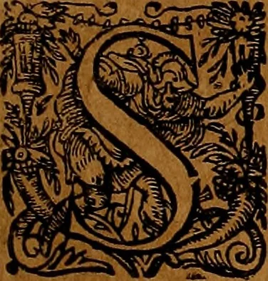 An illustration from Americæ nona & postrema pars : qua de ratione elementorum, de novi orbis natvra, de hvivs incolarvm svperstitiosis cultibus : deq; forma politiæ ac reipubl. ipsorum copiosè pertractatur : catalogo regnum Mexicanorum omnium, à primo vsq; ad vltimum Monteçuman II. additio ... : his accessit designatio illivs navigationis, quam 5. naves Hollandicae anno 1598. per fretum Magellanum in Moluccanas insulas tentarunt : quomodo nimirum oborta tempestate Capitaeus Sebalt de Weert à cæteris nauibus dispulsus, postquam plurimis mensibus in freto infinitis aerumnis miserè iactatus fuisset, tandem infectare post biennum an. 1600. domum reuersus sit : addita est tertio navigatio recens, quam 4. navium praefectus Olevier à Noort proximè suscepit ... : omnia è Germanico Latinitate donata, & insuper elegantissimis figuris æneis coornata editaq; sumptibus Theodori de Bry p.m. Viduæ & binorum filiorum, 1602, leaf 370