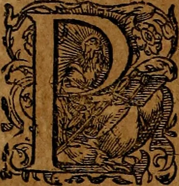 An illustration from Americæ nona & postrema pars : qua de ratione elementorum, de novi orbis natvra, de hvivs incolarvm svperstitiosis cultibus : deq; forma politiæ ac reipubl. ipsorum copiosè pertractatur : catalogo regnum Mexicanorum omnium, à primo vsq; ad vltimum Monteçuman II. additio ... : his accessit designatio illivs navigationis, quam 5. naves Hollandicae anno 1598. per fretum Magellanum in Moluccanas insulas tentarunt : quomodo nimirum oborta tempestate Capitaeus Sebalt de Weert à cæteris nauibus dispulsus, postquam plurimis mensibus in freto infinitis aerumnis miserè iactatus fuisset, tandem infectare post biennum an. 1600. domum reuersus sit : addita est tertio navigatio recens, quam 4. navium praefectus Olevier à Noort proximè suscepit ... : omnia è Germanico Latinitate donata, & insuper elegantissimis figuris æneis coornata editaq; sumptibus Theodori de Bry p.m. Viduæ & binorum filiorum, 1602, leaf 371