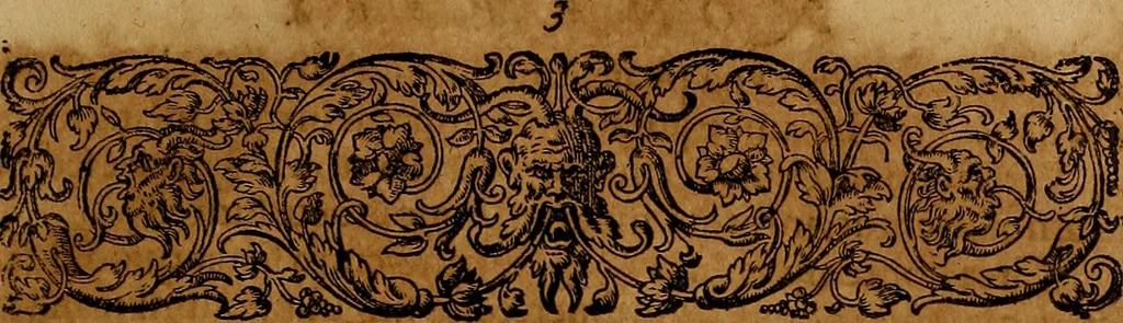 An illustration from Americæ nona & postrema pars : qua de ratione elementorum, de novi orbis natvra, de hvivs incolarvm svperstitiosis cultibus : deq; forma politiæ ac reipubl. ipsorum copiosè pertractatur : catalogo regnum Mexicanorum omnium, à primo vsq; ad vltimum Monteçuman II. additio ... : his accessit designatio illivs navigationis, quam 5. naves Hollandicae anno 1598. per fretum Magellanum in Moluccanas insulas tentarunt : quomodo nimirum oborta tempestate Capitaeus Sebalt de Weert à cæteris nauibus dispulsus, postquam plurimis mensibus in freto infinitis aerumnis miserè iactatus fuisset, tandem infectare post biennum an. 1600. domum reuersus sit : addita est tertio navigatio recens, quam 4. navium praefectus Olevier à Noort proximè suscepit ... : omnia è Germanico Latinitate donata, & insuper elegantissimis figuris æneis coornata editaq; sumptibus Theodori de Bry p.m. Viduæ & binorum filiorum, 1602, leaf 378