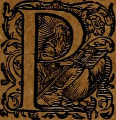 An illustration from Americæ nona & postrema pars : qua de ratione elementorum, de novi orbis natvra, de hvivs incolarvm svperstitiosis cultibus : deq; forma politiæ ac reipubl. ipsorum copiosè pertractatur : catalogo regnum Mexicanorum omnium, à primo vsq; ad vltimum Monteçuman II. additio ... : his accessit designatio illivs navigationis, quam 5. naves Hollandicae anno 1598. per fretum Magellanum in Moluccanas insulas tentarunt : quomodo nimirum oborta tempestate Capitaeus Sebalt de Weert à cæteris nauibus dispulsus, postquam plurimis mensibus in freto infinitis aerumnis miserè iactatus fuisset, tandem infectare post biennum an. 1600. domum reuersus sit : addita est tertio navigatio recens, quam 4. navium praefectus Olevier à Noort proximè suscepit ... : omnia è Germanico Latinitate donata, & insuper elegantissimis figuris æneis coornata editaq; sumptibus Theodori de Bry p.m. Viduæ & binorum filiorum, 1602, leaf 39