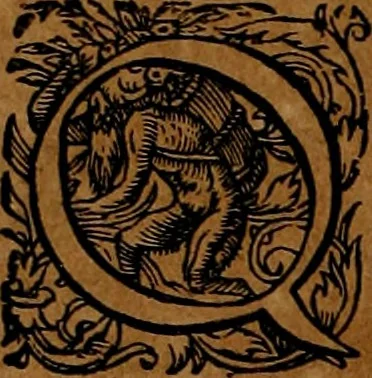 An illustration from Americæ nona & postrema pars : qua de ratione elementorum, de novi orbis natvra, de hvivs incolarvm svperstitiosis cultibus : deq; forma politiæ ac reipubl. ipsorum copiosè pertractatur : catalogo regnum Mexicanorum omnium, à primo vsq; ad vltimum Monteçuman II. additio ... : his accessit designatio illivs navigationis, quam 5. naves Hollandicae anno 1598. per fretum Magellanum in Moluccanas insulas tentarunt : quomodo nimirum oborta tempestate Capitaeus Sebalt de Weert à cæteris nauibus dispulsus, postquam plurimis mensibus in freto infinitis aerumnis miserè iactatus fuisset, tandem infectare post biennum an. 1600. domum reuersus sit : addita est tertio navigatio recens, quam 4. navium praefectus Olevier à Noort proximè suscepit ... : omnia è Germanico Latinitate donata, & insuper elegantissimis figuris æneis coornata editaq; sumptibus Theodori de Bry p.m. Viduæ & binorum filiorum, 1602, leaf 43