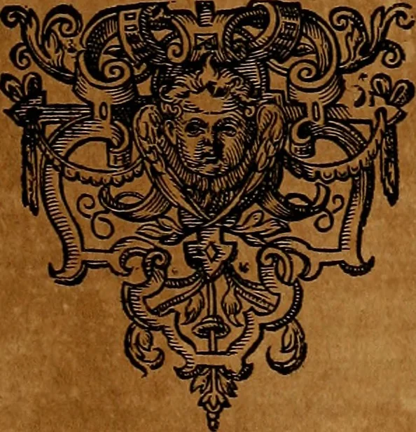 An illustration from Americæ nona & postrema pars : qua de ratione elementorum, de novi orbis natvra, de hvivs incolarvm svperstitiosis cultibus : deq; forma politiæ ac reipubl. ipsorum copiosè pertractatur : catalogo regnum Mexicanorum omnium, à primo vsq; ad vltimum Monteçuman II. additio ... : his accessit designatio illivs navigationis, quam 5. naves Hollandicae anno 1598. per fretum Magellanum in Moluccanas insulas tentarunt : quomodo nimirum oborta tempestate Capitaeus Sebalt de Weert à cæteris nauibus dispulsus, postquam plurimis mensibus in freto infinitis aerumnis miserè iactatus fuisset, tandem infectare post biennum an. 1600. domum reuersus sit : addita est tertio navigatio recens, quam 4. navium praefectus Olevier à Noort proximè suscepit ... : omnia è Germanico Latinitate donata, & insuper elegantissimis figuris æneis coornata editaq; sumptibus Theodori de Bry p.m. Viduæ & binorum filiorum, 1602, leaf 432