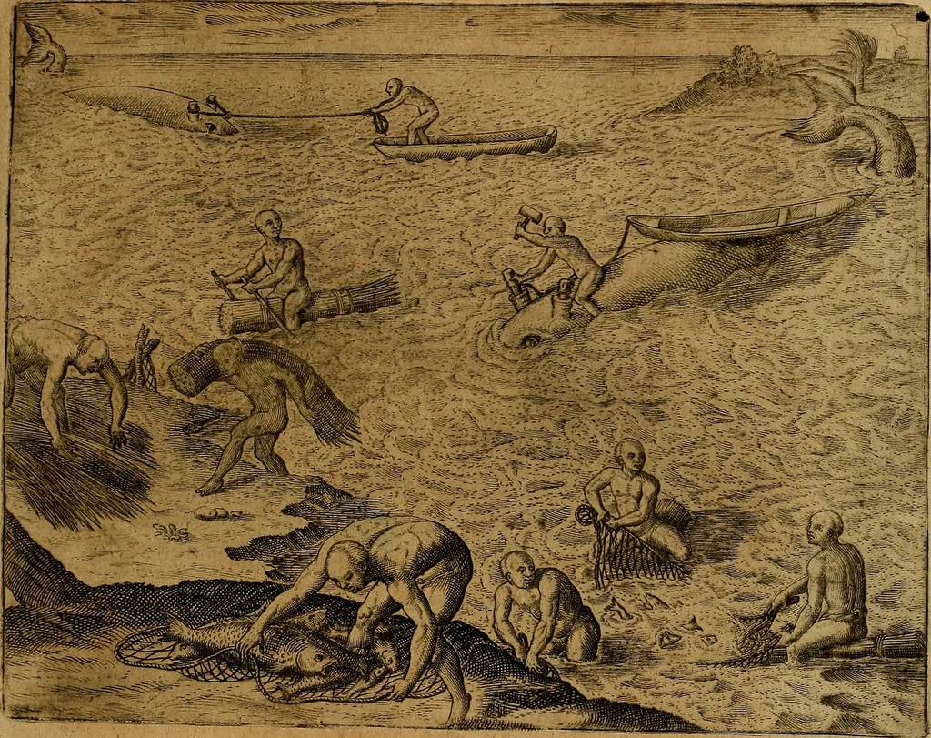 An illustration from Americæ nona & postrema pars : qua de ratione elementorum, de novi orbis natvra, de hvivs incolarvm svperstitiosis cultibus : deq; forma politiæ ac reipubl. ipsorum copiosè pertractatur : catalogo regnum Mexicanorum omnium, à primo vsq; ad vltimum Monteçuman II. additio ... : his accessit designatio illivs navigationis, quam 5. naves Hollandicae anno 1598. per fretum Magellanum in Moluccanas insulas tentarunt : quomodo nimirum oborta tempestate Capitaeus Sebalt de Weert à cæteris nauibus dispulsus, postquam plurimis mensibus in freto infinitis aerumnis miserè iactatus fuisset, tandem infectare post biennum an. 1600. domum reuersus sit : addita est tertio navigatio recens, quam 4. navium praefectus Olevier à Noort proximè suscepit ... : omnia è Germanico Latinitate donata, & insuper elegantissimis figuris æneis coornata editaq; sumptibus Theodori de Bry p.m. Viduæ & binorum filiorum, 1602, leaf 434