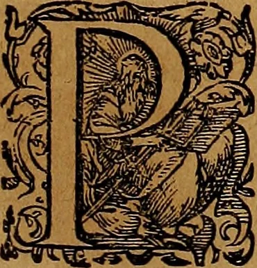 An illustration from Americæ nona & postrema pars : qua de ratione elementorum, de novi orbis natvra, de hvivs incolarvm svperstitiosis cultibus : deq; forma politiæ ac reipubl. ipsorum copiosè pertractatur : catalogo regnum Mexicanorum omnium, à primo vsq; ad vltimum Monteçuman II. additio ... : his accessit designatio illivs navigationis, quam 5. naves Hollandicae anno 1598. per fretum Magellanum in Moluccanas insulas tentarunt : quomodo nimirum oborta tempestate Capitaeus Sebalt de Weert à cæteris nauibus dispulsus, postquam plurimis mensibus in freto infinitis aerumnis miserè iactatus fuisset, tandem infectare post biennum an. 1600. domum reuersus sit : addita est tertio navigatio recens, quam 4. navium praefectus Olevier à Noort proximè suscepit ... : omnia è Germanico Latinitate donata, & insuper elegantissimis figuris æneis coornata editaq; sumptibus Theodori de Bry p.m. Viduæ & binorum filiorum, 1602, leaf 434