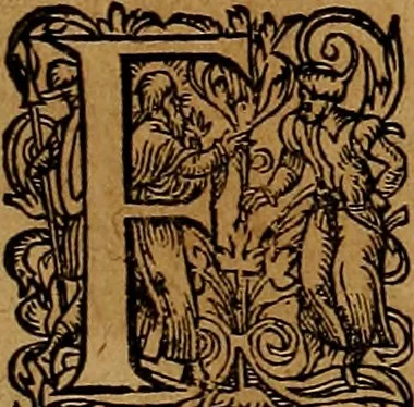 An illustration from Americæ nona & postrema pars : qua de ratione elementorum, de novi orbis natvra, de hvivs incolarvm svperstitiosis cultibus : deq; forma politiæ ac reipubl. ipsorum copiosè pertractatur : catalogo regnum Mexicanorum omnium, à primo vsq; ad vltimum Monteçuman II. additio ... : his accessit designatio illivs navigationis, quam 5. naves Hollandicae anno 1598. per fretum Magellanum in Moluccanas insulas tentarunt : quomodo nimirum oborta tempestate Capitaeus Sebalt de Weert à cæteris nauibus dispulsus, postquam plurimis mensibus in freto infinitis aerumnis miserè iactatus fuisset, tandem infectare post biennum an. 1600. domum reuersus sit : addita est tertio navigatio recens, quam 4. navium praefectus Olevier à Noort proximè suscepit ... : omnia è Germanico Latinitate donata, & insuper elegantissimis figuris æneis coornata editaq; sumptibus Theodori de Bry p.m. Viduæ & binorum filiorum, 1602, leaf 436